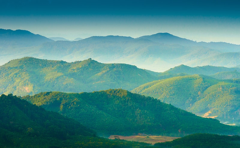 green trees in the mountains